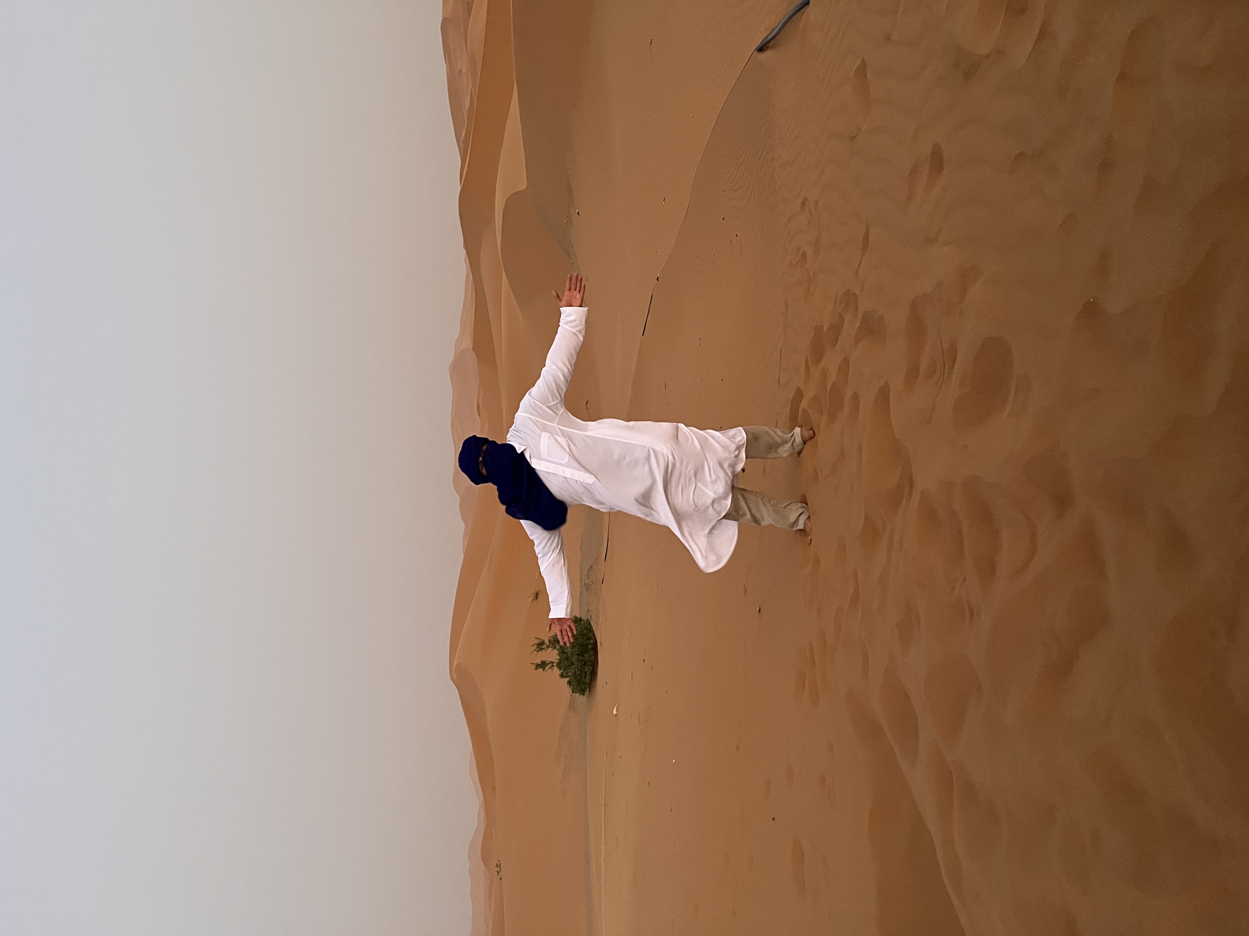 Voyage dans le désert